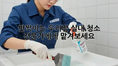 반짝이는 우리집, 실내 청소 전문가에게 맡겨보세요! ✨